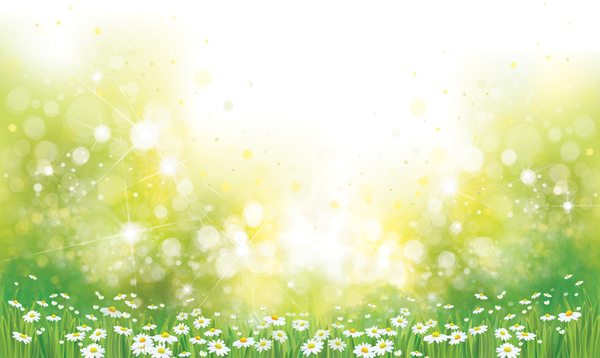 White daisies with spring backgrounds vector set 10