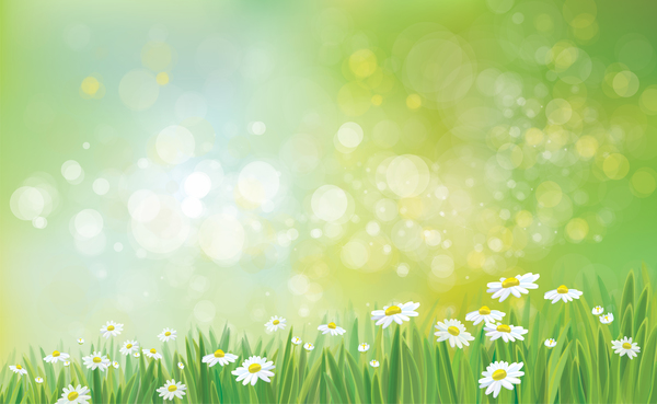 White daisies with spring backgrounds vector set 14