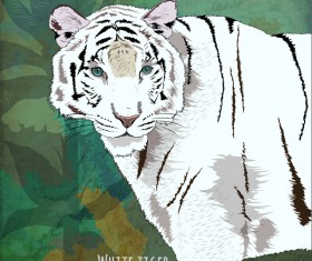 White tiger hand drawn vector