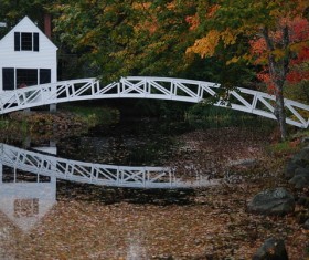 White woods cabin Arch Stock Photo