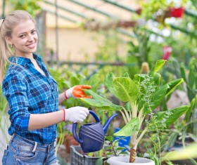 Woman watering the plants Stock Photo