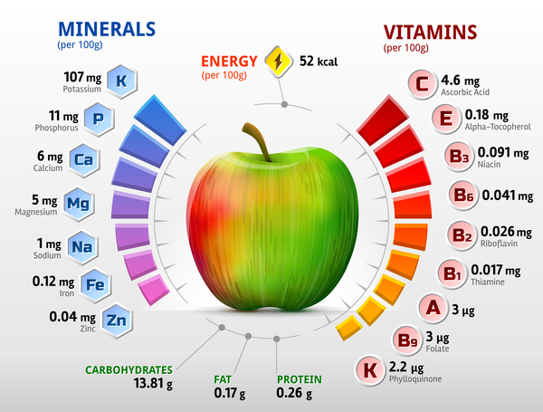 apple vitamins infographics vector