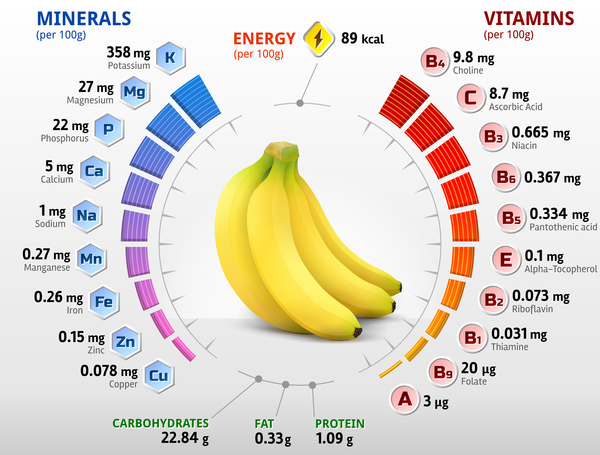 banana vitamins infographics vector