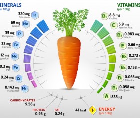 carrot vitamins infographics vector