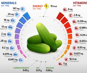 cucumber vitamins infographics vector