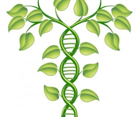 leaf ideas creative vector material 01