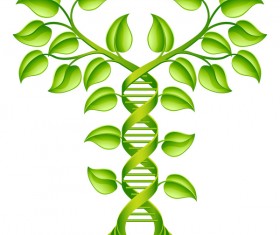 leaf ideas creative vector material 03