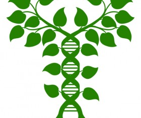 leaf ideas creative vector material 04