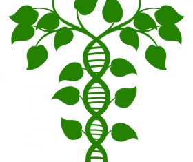 leaf ideas creative vector material 07