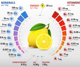 lemon vitamins infographics vector