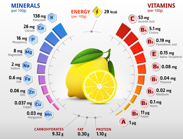 lemon vitamins infographics vector