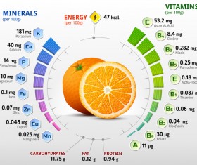 orange vitamins infographics vector