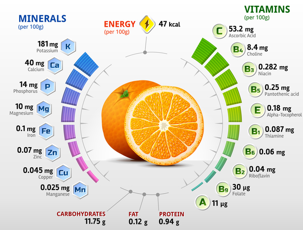 orange vitamins infographics vector