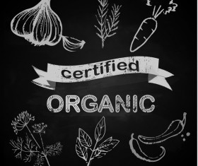 organic vegetables with chalkboard background vector