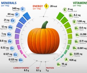 pumpkin vitamins infographics vector