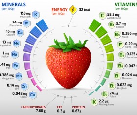 strawberry vitamins infographics vector