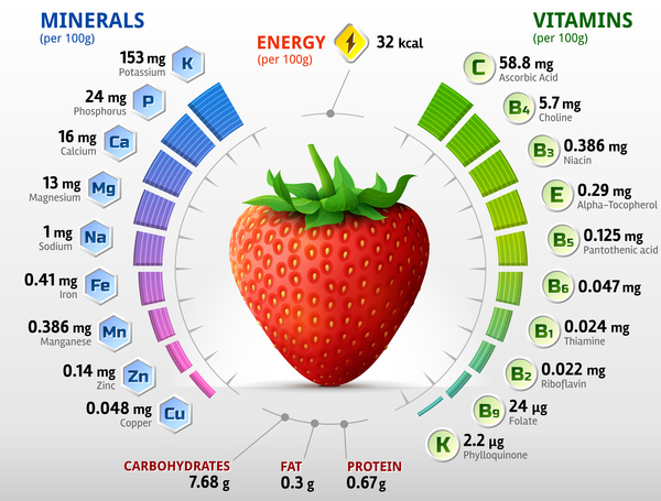 strawberry vitamins infographics vector