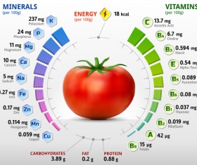 tomato vitamins infographics vector