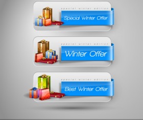 winter offer banner vector