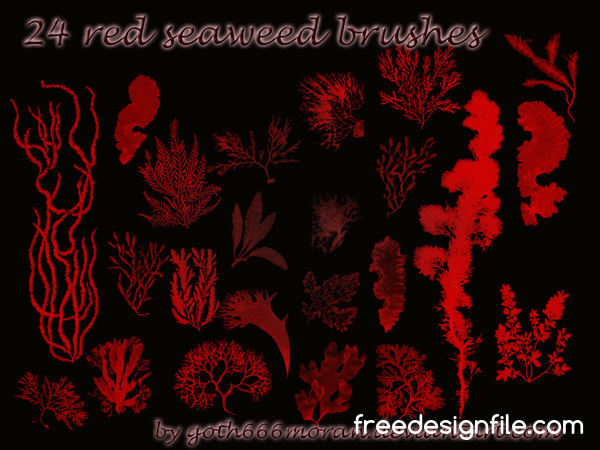 24 Kind red seaweed photoshop brushes