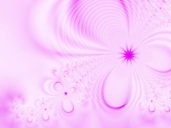 Abstract pink flower background Stock Photo 02
