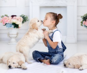 And puppies intimate interaction girl Stock Photo