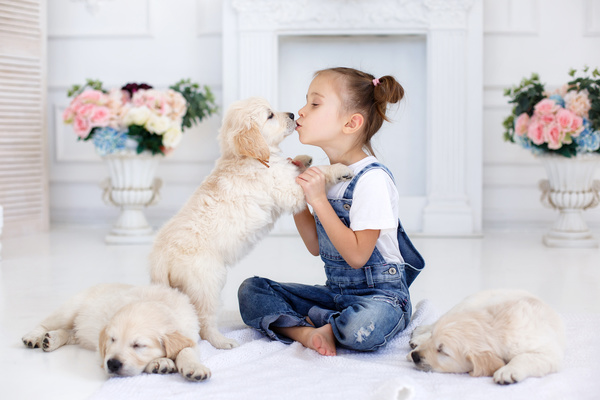 And puppies intimate interaction girl Stock Photo