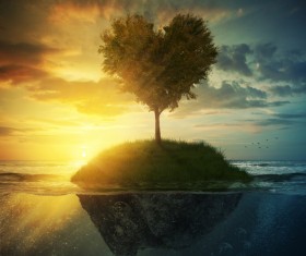 Beautiful scenery heart tree Stock Photo 02