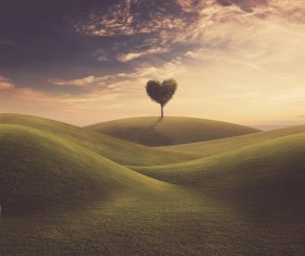 Beautiful scenery heart tree Stock Photo 04