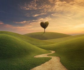 Beautiful scenery heart tree Stock Photo 05
