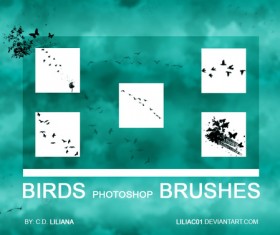 Birds PS brushes