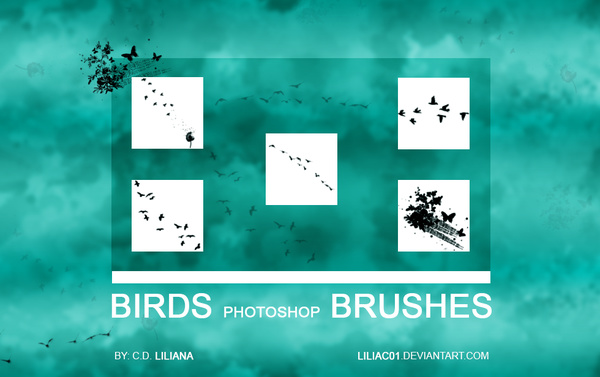 Birds PS brushes