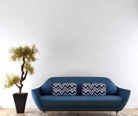 Bonsai sofa against the wall Stock Photo