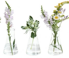 Bottle of flowers HD picture