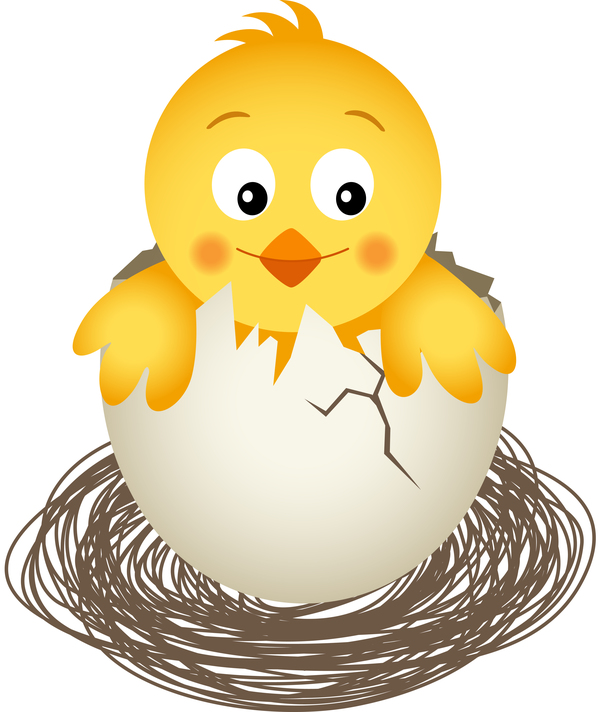 Broken eggs and cartoon chickens vector 02 free download