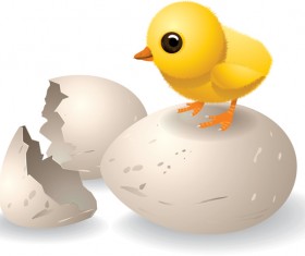 Broken eggs and cartoon chickens vector 03