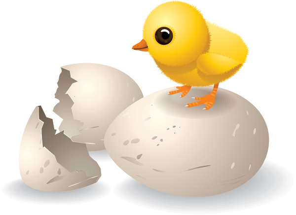 Broken eggs and cartoon chickens vector 03