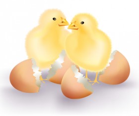 Broken eggs and cartoon chickens vector 04