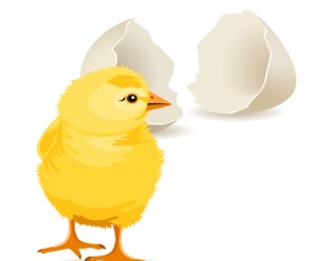 Broken eggs and cartoon chickens vector 05