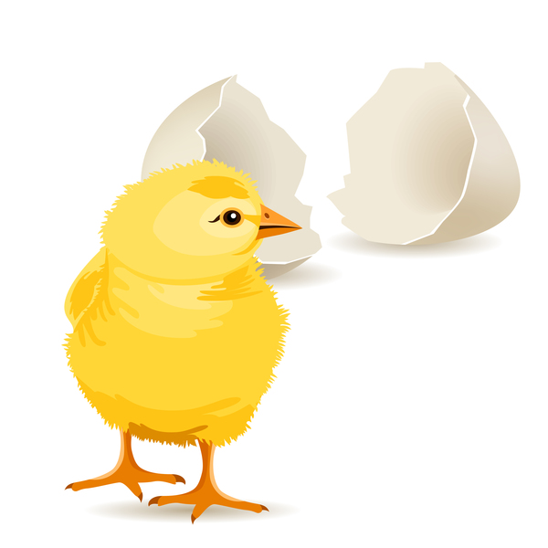 Broken eggs and cartoon chickens vector 05