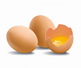 Cracked shells with eggs vector 01
