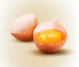 Cracked shells with eggs vector 02
