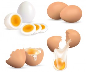 Cracked shells with eggs vector 03