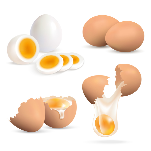 Cracked shells with eggs vector 03