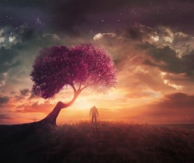 Creative art photos HD picture 02