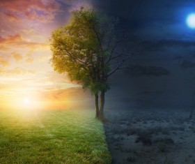 Creative art photos HD picture 08