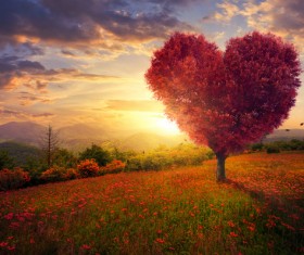 Creative art photos HD picture 10