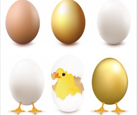 Cute chick with broken eggs vector