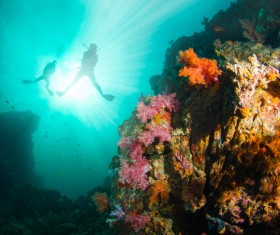 Divers and undersea coral reefs Stock Photo