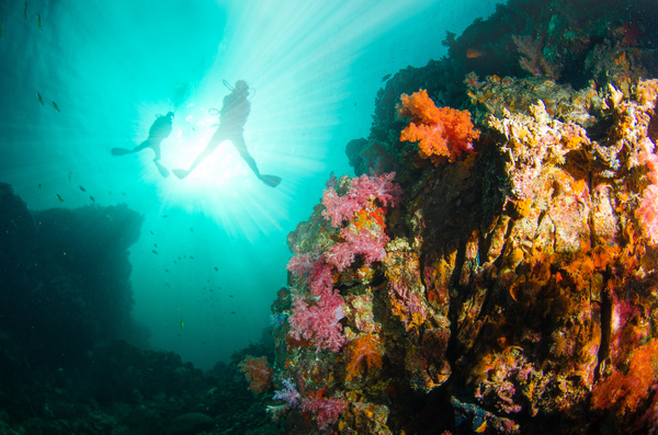 Divers and undersea coral reefs Stock Photo